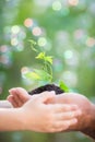 Young plant in hands against green background Royalty Free Stock Photo