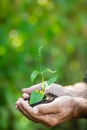 Young plant in hands against green background Royalty Free Stock Photo