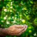 Young plant in hands against green spring background Royalty Free Stock Photo