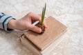 Young plant on old book against spring natural background. Ecology concept Royalty Free Stock Photo