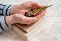 Young plant on old book against spring natural background. Ecology concept Royalty Free Stock Photo