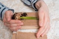 Young plant on old book against spring natural background. Ecology concept Royalty Free Stock Photo