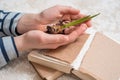 Young plant on old book against spring natural background. Ecology concept Royalty Free Stock Photo