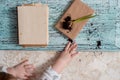 Young plant on old book against spring natural background. Ecology concept Royalty Free Stock Photo