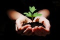 Young plant with soil in hands Royalty Free Stock Photo