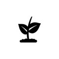 Young Plant Sprout, Agriculture Tree Growth Flat Vector Icon