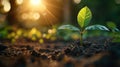 young plant sprouting from the soil under sunlight,