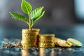 Young Plant Sprouting From Stacked Coins on Wooden Surface Concept of Investment Growth, Financial Planning, and Savings Royalty Free Stock Photo