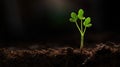 a young plant sprouts from the ground in the dark Royalty Free Stock Photo