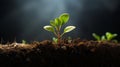 A young plant sprouts from the ground. Generative ai Royalty Free Stock Photo