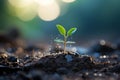 a young plant sprouts out of the ground Royalty Free Stock Photo
