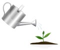 Young plant with watering can