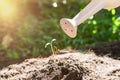 Young plant with watering can Royalty Free Stock Photo