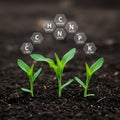 Young Plants Growing in Soil with Chemical Elements Visualization for Agricultural Science and Plant Nutrition Royalty Free Stock Photo