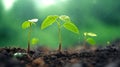 Young plants growing up on ground with raining drop, save wold and green environment concept, Generative AI Royalty Free Stock Photo