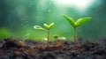Young plants growing up on ground with raining drop, save wold and green environment concept, Generative AI Royalty Free Stock Photo