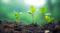 Young plants growing up on ground with raining drop, save wold and green environment concept, Generative AI Royalty Free Stock Photo