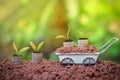 Plants growing on stack of Royalty Free Stock Photo