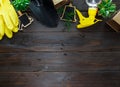 Young plants in pots, shovel, green gloves for pottering on brown wooden table.