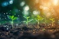 Young plants in rich soil connected by digital networks, symbolizing smart and efficient farming techniques. Royalty Free Stock Photo