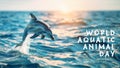 Young dolphin jumping out the sea in sunset, World aquatic animal day Royalty Free Stock Photo