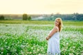 A young plump beautiful woman is resting on a chamomile field at sunset. A plus-size woman in a white sundress in a meadow with Royalty Free Stock Photo