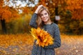 Young positive young woman with a beautiful smile in a fashionable gray coat with a bouquet of autumn yellow-gold leaves