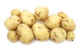 Young potato Royalty Free Stock Photo