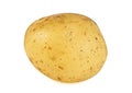 Young potato isolated on white background Royalty Free Stock Photo