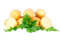 Young potatoes Royalty Free Stock Photo