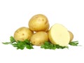 Young potatoes, decorating of parsley . Isolated Royalty Free Stock Photo