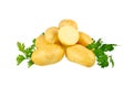 Young potatoes, decorating of parsley . Isolated Royalty Free Stock Photo