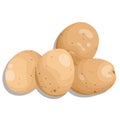 Young potatoes, glossy and voluminous, a group of four speckled potatoes, natural.