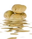 Young potatoes in the water