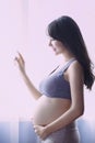 Young Pregnant Asian Woman Holds Her Hands on Her Swollen Belly, Love Concept. Royalty Free Stock Photo