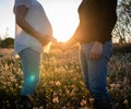 Young pregnant couple holding hands into white flowers field with the sunset and sun rays in the background Royalty Free Stock Photo