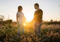 Young pregnant couple holding hands into white flowers field with the sunset and sun rays in the background Royalty Free Stock Photo