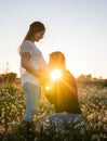 Young pregnant couple man kissing the belly into white flowers field with the sunset and sun rays in the background Royalty Free Stock Photo