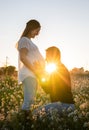 Young pregnant couple man kissing the belly into white flowers field with the sunset and sun rays in the background Royalty Free Stock Photo