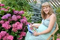 The young pregnant female artist draws water color paints a blossoming hydrangea Royalty Free Stock Photo