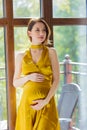 Young pregnant female in dress near window. Royalty Free Stock Photo