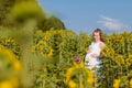 A young pregnant girl in a white dress in sunflowers field. Happy moments of pregnancy. Authentic lifestyle image. place for text Royalty Free Stock Photo