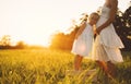 Young pregnant mother and daughter on nature outdoors Royalty Free Stock Photo