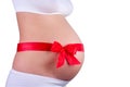 Young pregnant woman Royalty Free Stock Photo