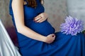 Young pregnant woman in a blue dress holds her hands on her swollen belly, love concept, violet flower Royalty Free Stock Photo