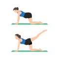 Young pregnant woman doing kick back exercise during pregnancy workout. Pilates of healthy happy mom with belly. Cat cow pose with