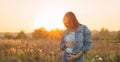 Young Pregnant Woman holding ultrasound photo at Sunset and Embracing her Belly. 4 Month Pregnancy. Maternity Concept. Toned Photo Royalty Free Stock Photo