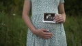 A young pregnant woman holds an ultrasound picture of a baby in her hands. Girl in a dress outdoors. Royalty Free Stock Photo