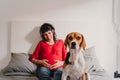 young pregnant woman at home with her beagle dog Royalty Free Stock Photo