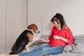 young pregnant woman at home with her beagle dog Royalty Free Stock Photo